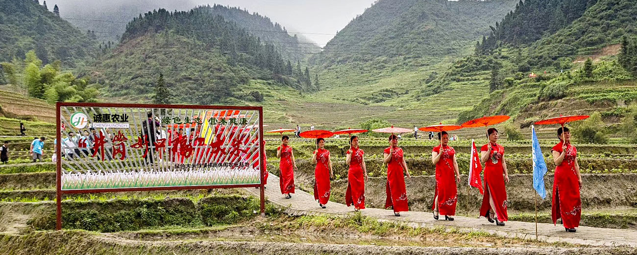 生态绿色基地