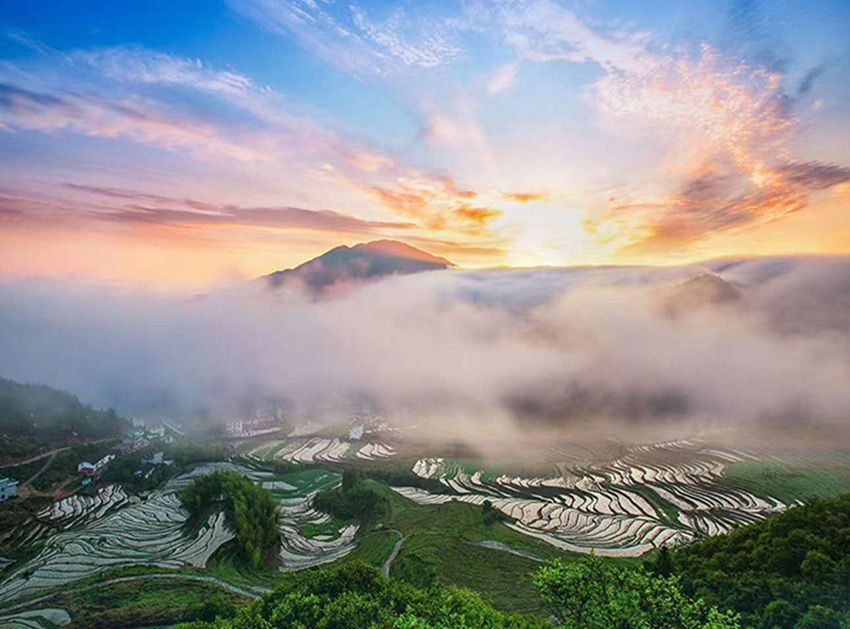 种植基地