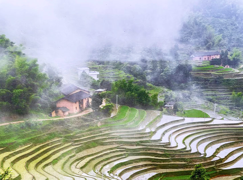 种植基地